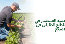 أهمية الاستثمار في القطاع الحقيقي في الإسلام