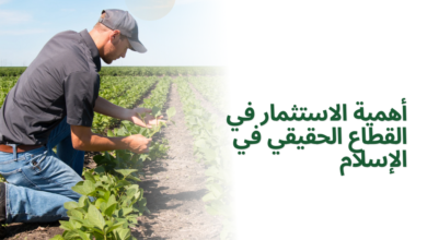 أهمية الاستثمار في القطاع الحقيقي في الإسلام