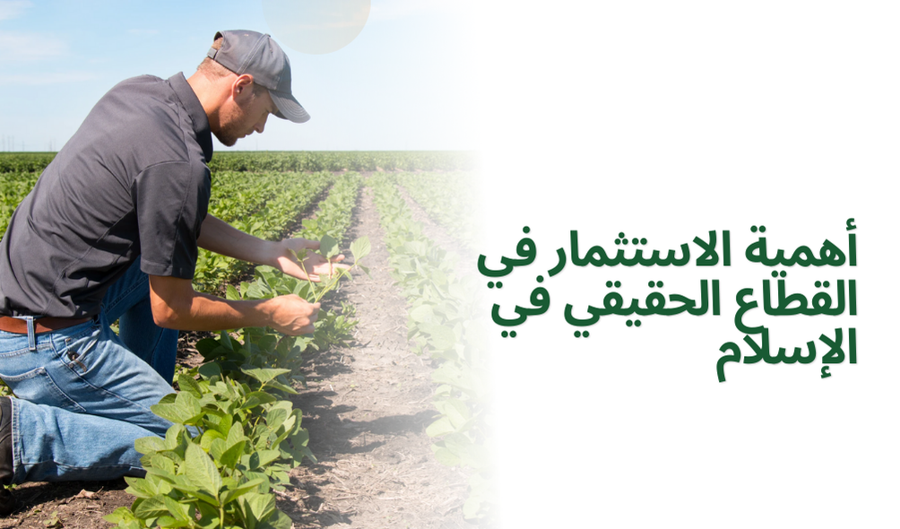 أهمية الاستثمار في القطاع الحقيقي في الإسلام