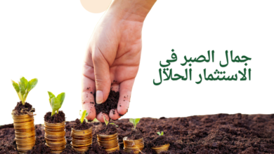 جمال الصبر في الاستثمار الحلال