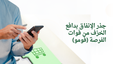 جذر الإنفاق بدافع الخزف من فوات الفرصة (فومو)