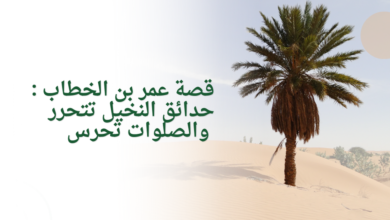 قصة عمر بن الخطاب : حدائق النخيل تتحرر والصلوات تحرس