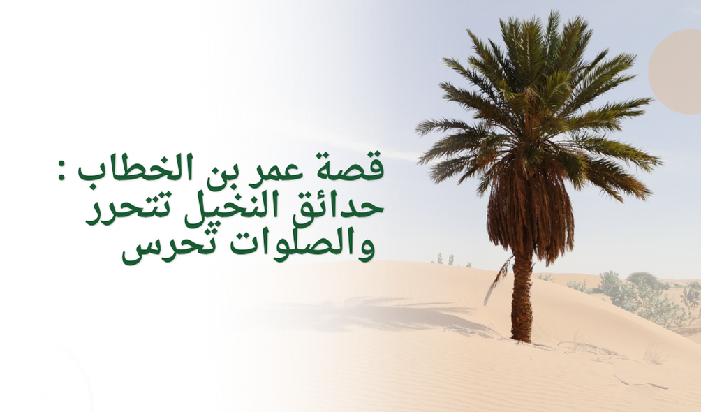 قصة عمر بن الخطاب : حدائق النخيل تتحرر والصلوات تحرس