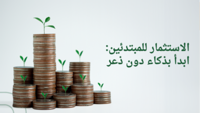 الاستثمار للمبتدئين: ابدأ بذكاء دون ذعر